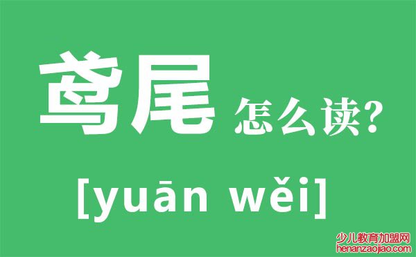 鸢尾怎么读拼音是什么,鸢尾是什么,鸢尾花花语是什么