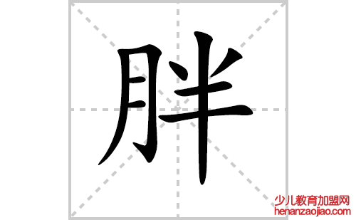 胖的笔顺笔画怎么写（胖的笔画、拼音、解释及成语详解）