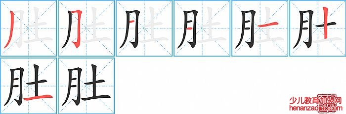 肚的笔顺、笔画