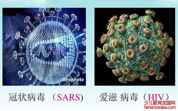 SARS冠状病毒