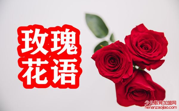 玫瑰的花语是什么,玫瑰花的花语大全