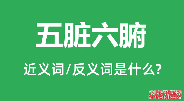 五脏六腑的近义词和反义词是什么,五脏六腑是什么意思