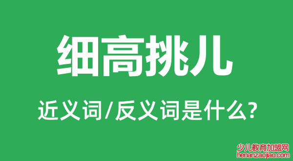 细高挑儿的近义词和反义词是什么,细高挑儿是什么意思