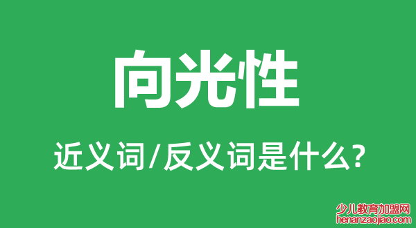 向光性的近义词和反义词是什么,向光性是什么意思