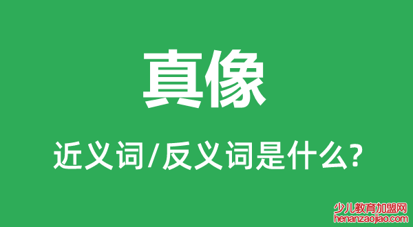 真像的近义词和反义词是什么,真像是什么意思